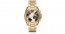 Bracelet de montre Michael Kors mk6272 Acier Plaqué or